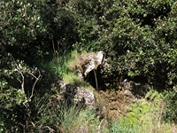 otta monte Cicirello-22042012 011